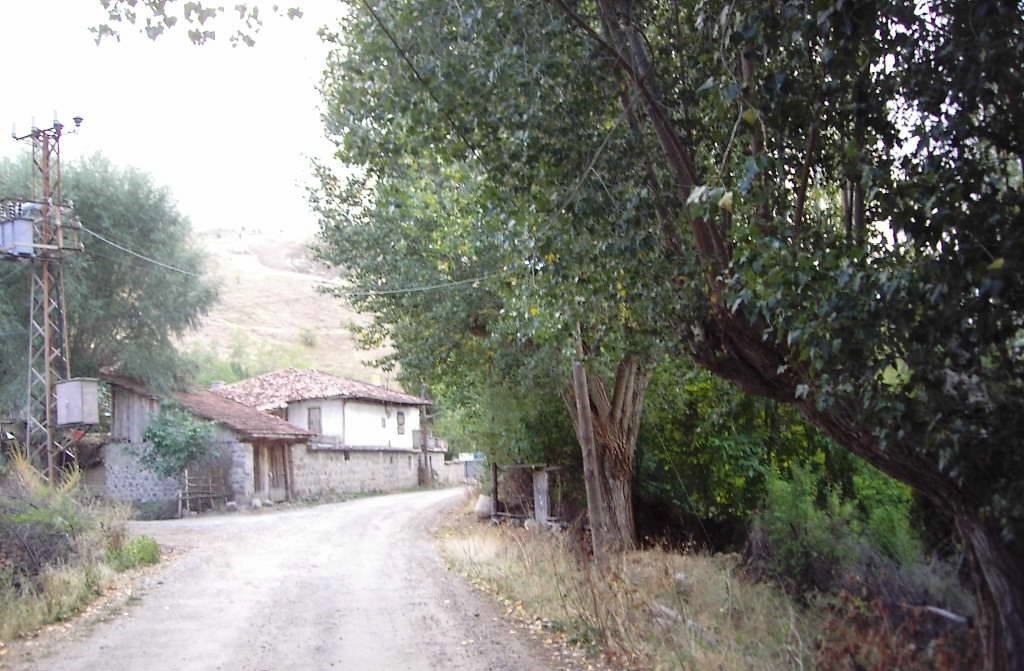 Köy yolu
