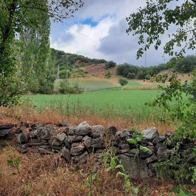 165304069 732374250982657 1295918796379000908 N1